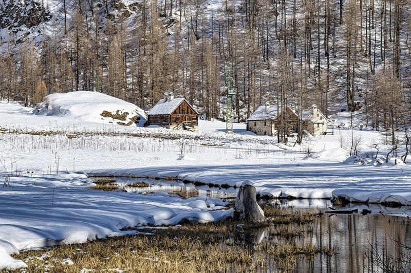 Secluded Cabin